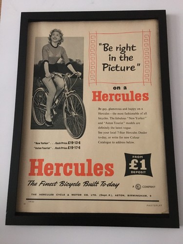 Hercules new yorker - hercules,