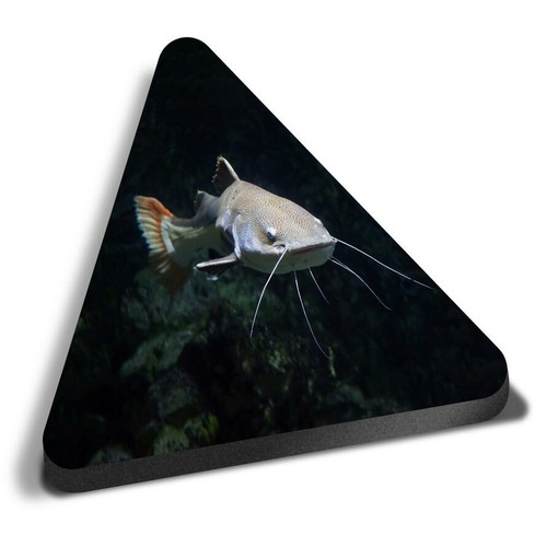 Triangle mdf magnets redtail - magnets,