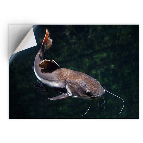 Vinyl sticker redtail - sticker,