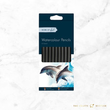 12 Watercolour Pencils Artist