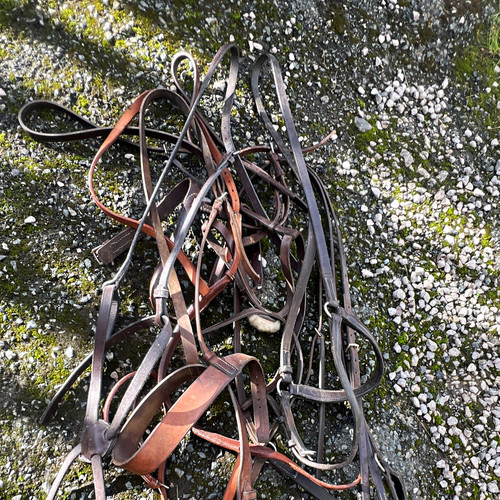 Job lot nosebands - job, of