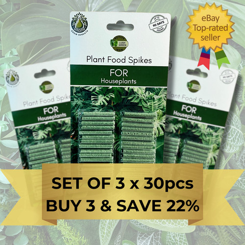 Plant food spikes - plant, spikes,