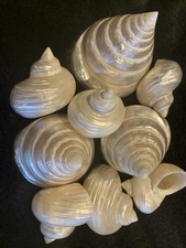 9 Decorative Pearlescent