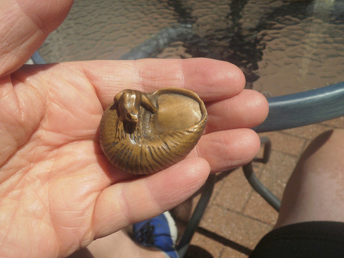 Hand carved wood netsuke - carved,