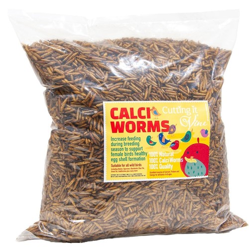 Dried calciworms for - dried,