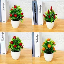 Mini Potted Tree Bonsai