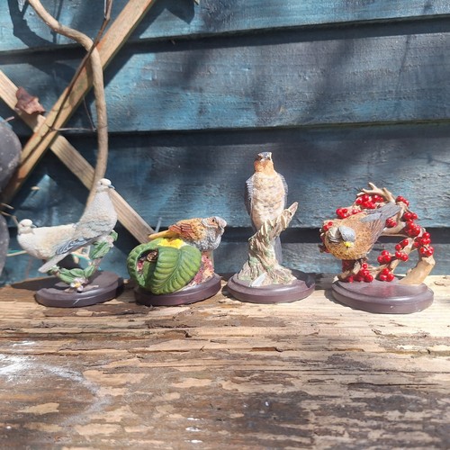 The country bird collection - bird,