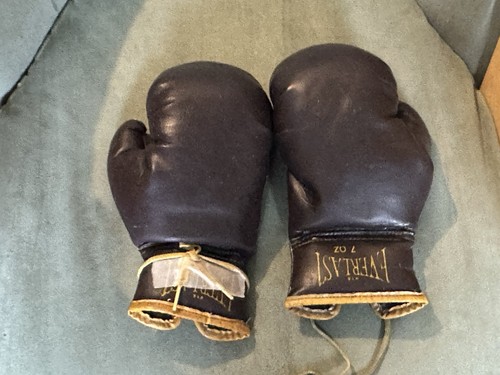 Vintage everlast boxing - boxing, gloves