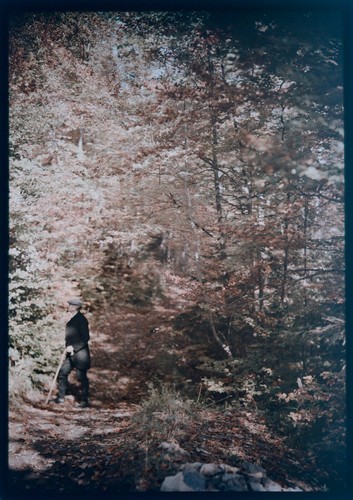 Autochrome vintage glass - autochrome,