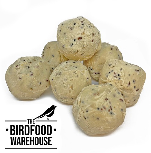 The birdfood warehouse suet - the,