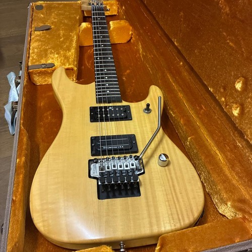 Washburn nuno bettencourt - washburn,