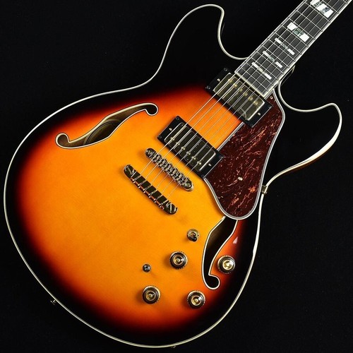 Ibanez electric guitar semi - electric,