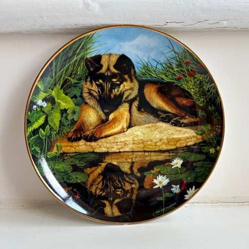 Danbury mint reflection - danbury, reflection"