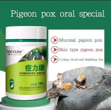 Racing Pigeon Pox Scabs viral Virus Vaccine disease Pigeons 