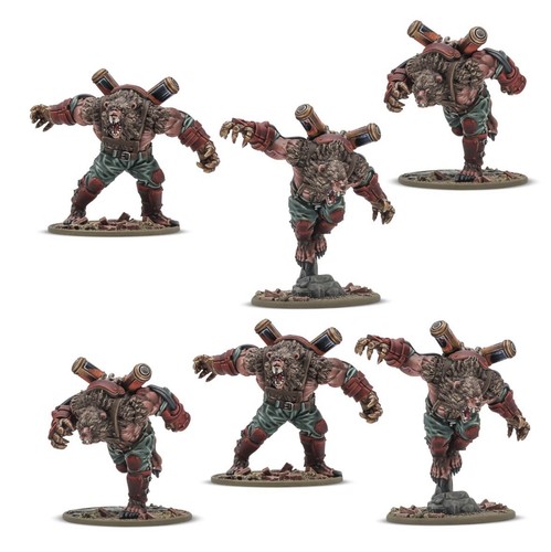Konflikt ursus - konflikt, 47