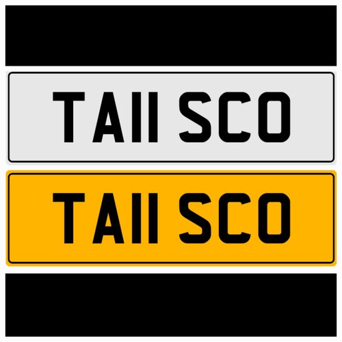 Big tall ta11 sco - big,