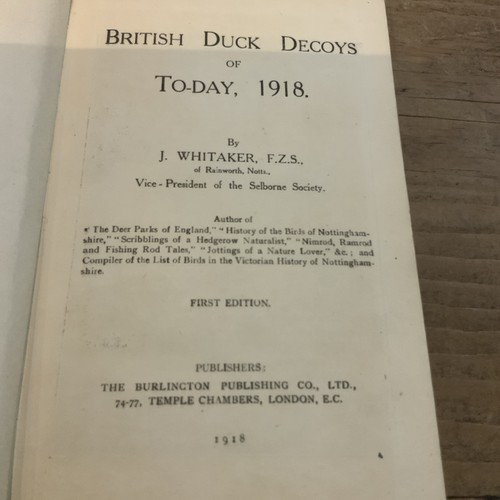 British duck decoys day - british, of