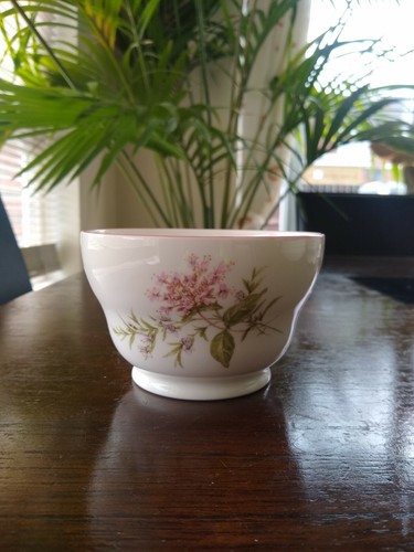 Vintage crown trent - fine, bone