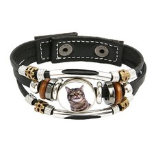 Manx Cat Pet Family Brown