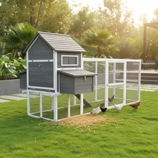 Rabbit hutch Hutch chicken