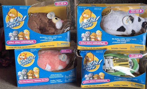 Zhu pets hamster - zhu,