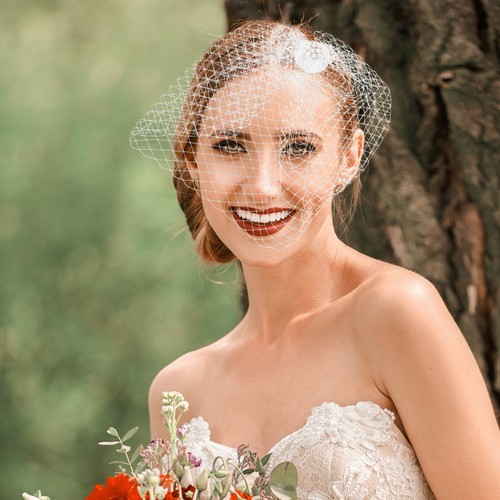 Birdcage veil wedding bride - birdcage,