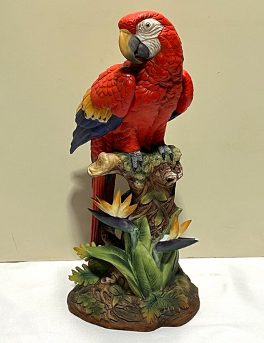 Andrea sadek scarlet macaw - andrea,