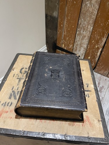 Holy bible illustrated the - holy,