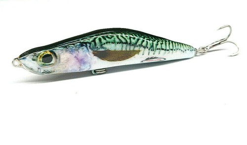 Bass pollack pike - bass, sinking
