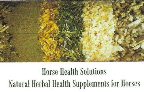 Herbs for horses ponies - herbs,