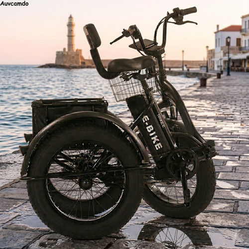 Off road electric cargo trike - off-road,