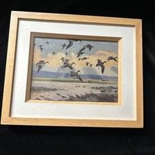 Vintage Print, “Mallards In