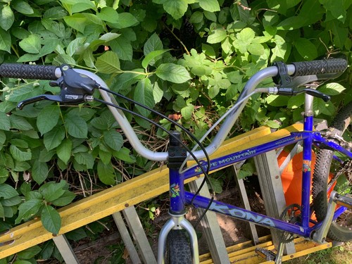 Bmx custom beach cruiser bike - custom,