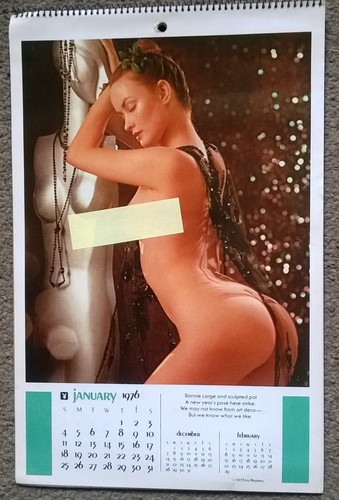 1976 vintage playboy calendar - 1976,