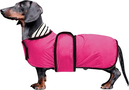 Morezi dachshund coat - morezi,