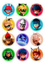 12 X LADY BUG CUPCAKE   edible Cake toppers Icing Wafer