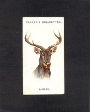 Y1122 Players Cigarette Card