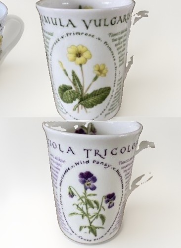National trust floral - floral, primula