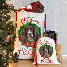 Brown Springer Spaniel Christmas Sack Personalised Dog Xmas Santa Bag Pup DWS15