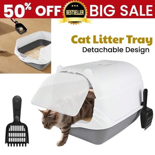 Large hooded cat - hooded,