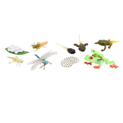 Life cycle figurines toy red - life,