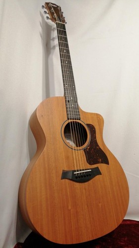 Taylor 24ce acoustic guitar - taylor,