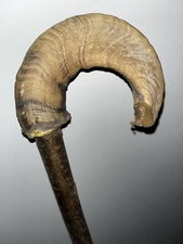 Wooden Rams Horn Walking Stick