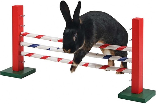 Kerbl agility upright - agility,