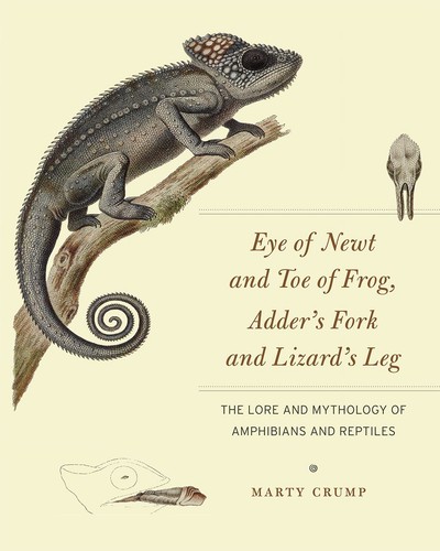 Eye newt and toe frog - eye,
