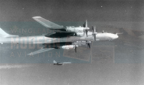 Tupolev bear - tu-95,