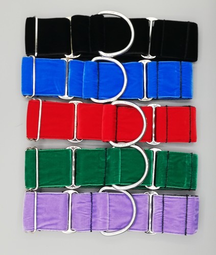 Velvet martingale dog - velvet,