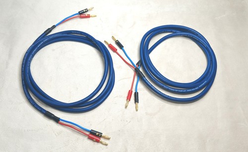 Van damme blue series studio - van,