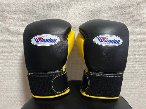 Winning boxing gloves 8oz - gloves,