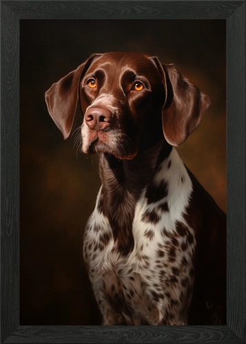German shorthaired pointer - german,